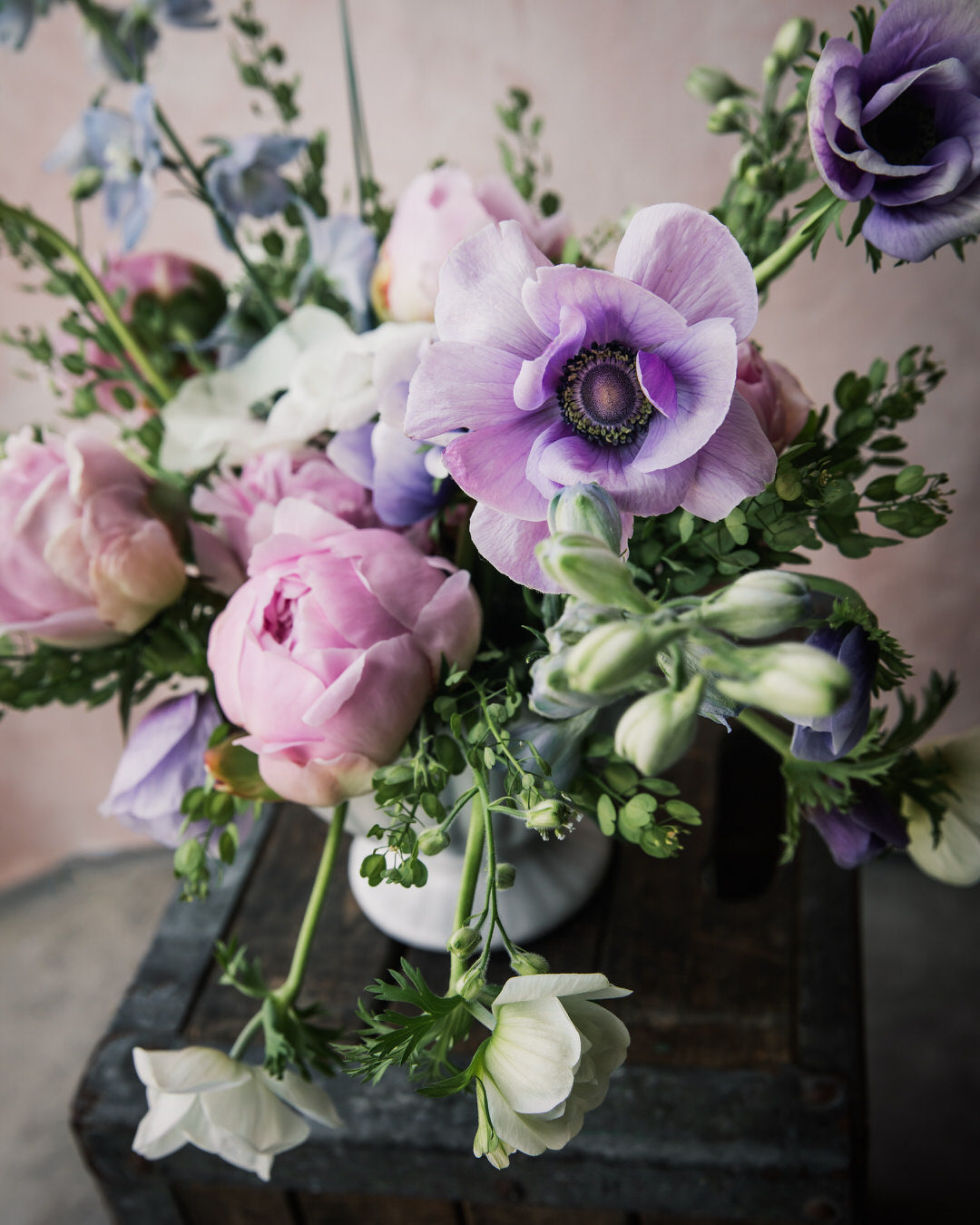 Anemone Italian Mistral Plus Rarity®