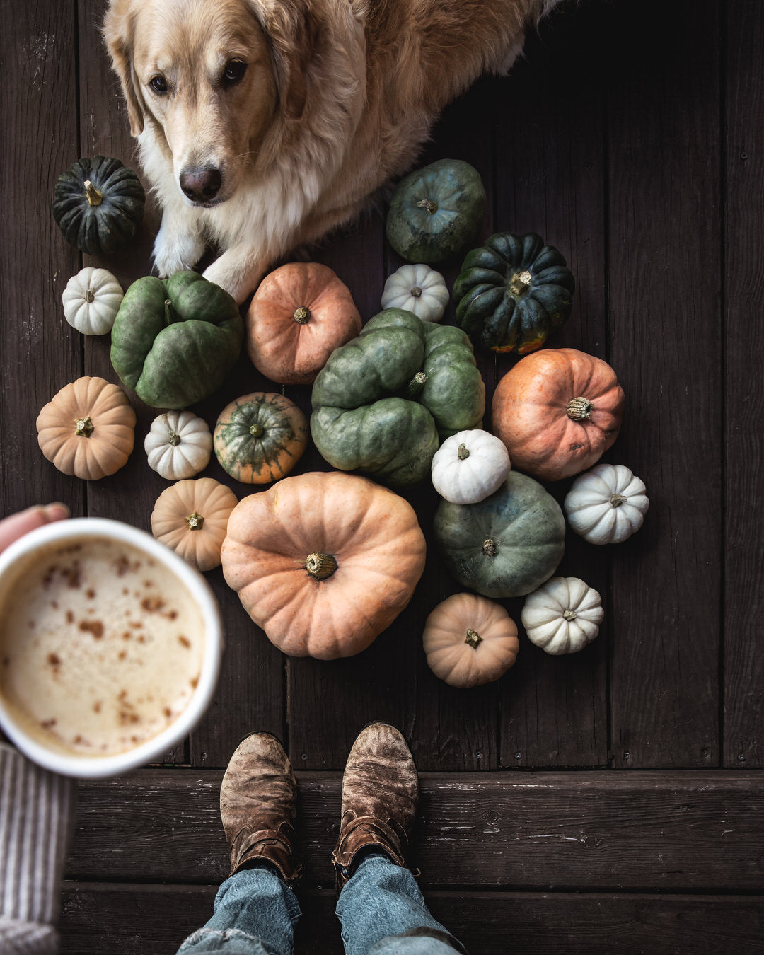 Pumpkin Seeds