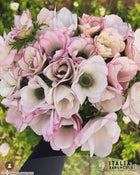 Anemone Italian Mistral Plus The Edge®