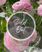 Ranunculus Italian Elegance Rosa Chiaro®