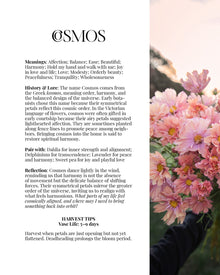 2026 PBF Photography Calendar: Botanical Alchemy (Worldwide Shipping Available)