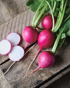 Radish 'Pink Beauty'