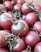 Tomato 'Black Cherry'