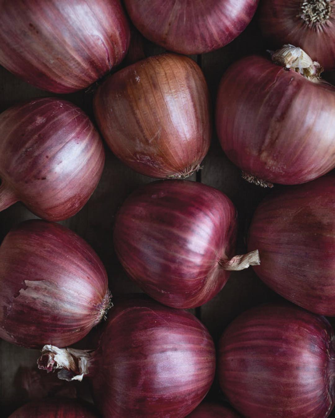 Onion 'Rossa di Milano'