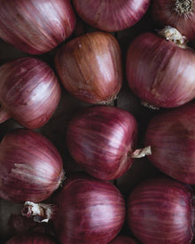 Onion 'Rossa di Milano'