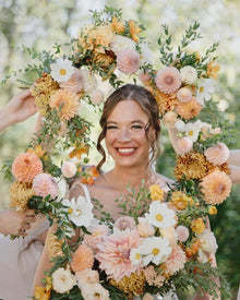 Cosmos 'Afternoon White'