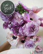Ranunculus Italian Elegance Malva®