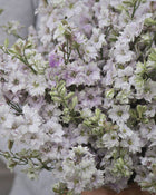 Larkspur 'Antique Patina Mix'