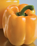 Pepper, Sweet 'Sweet Sunrise' (Yellow/Orange)