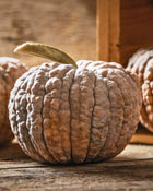 Squash, Winter 'Black Futsu'