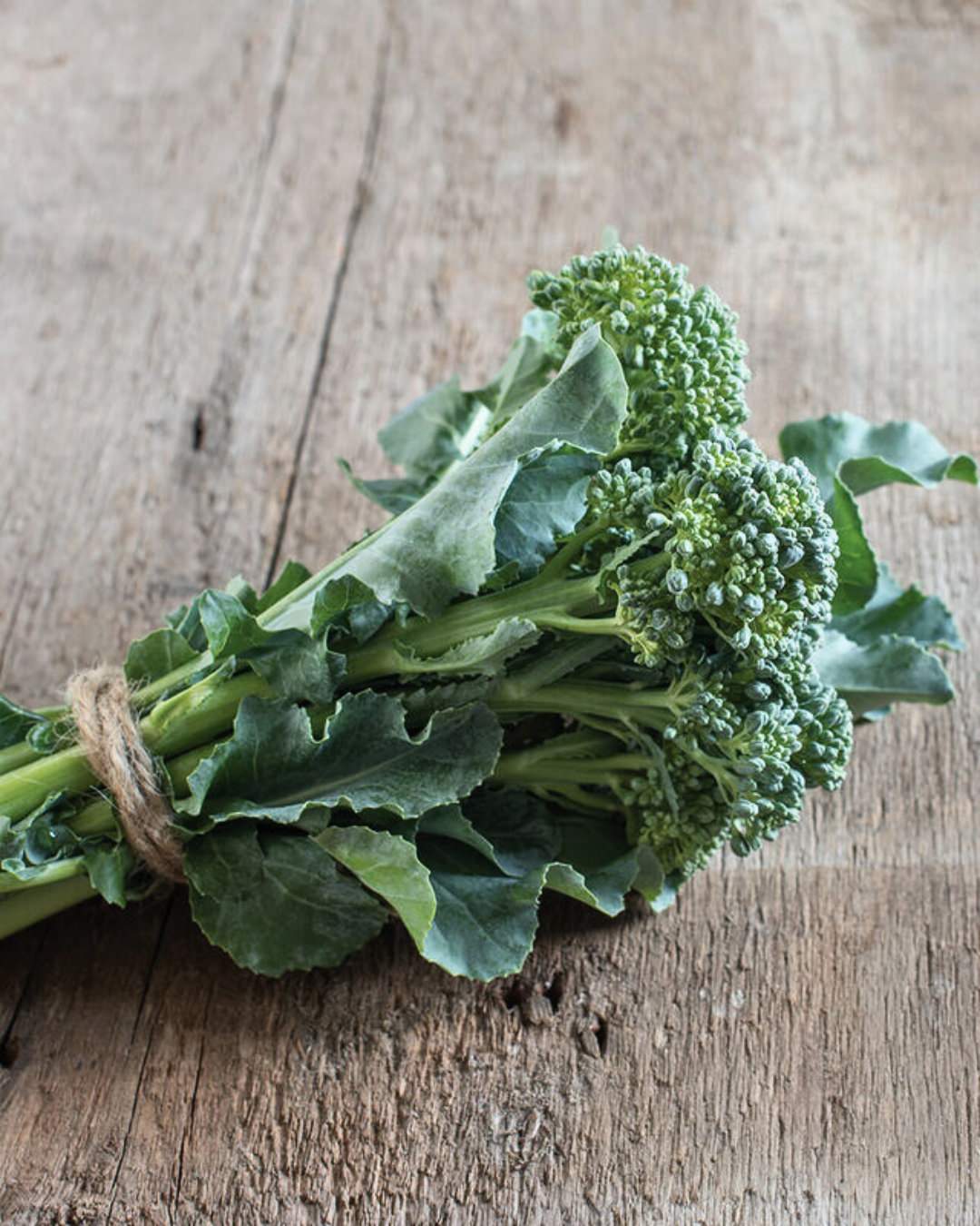 Broccoli 'De Cicco'