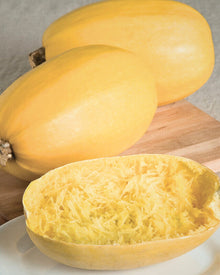 Squash, Winter 'Spaghetti Squash'