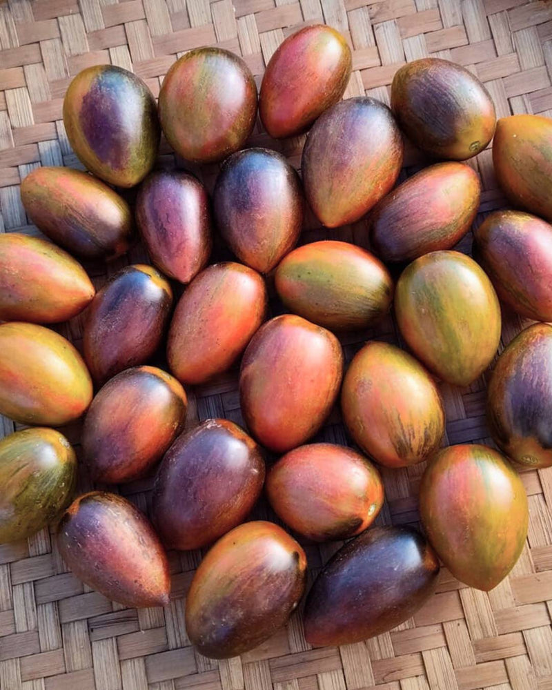 Tomato 'Magic Bullet'