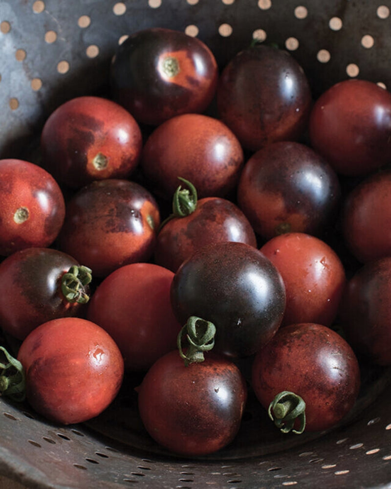 Tomato 'Indigo Cherry Drops'