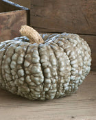 Pumpkin 'Marina Di Chioggia'
