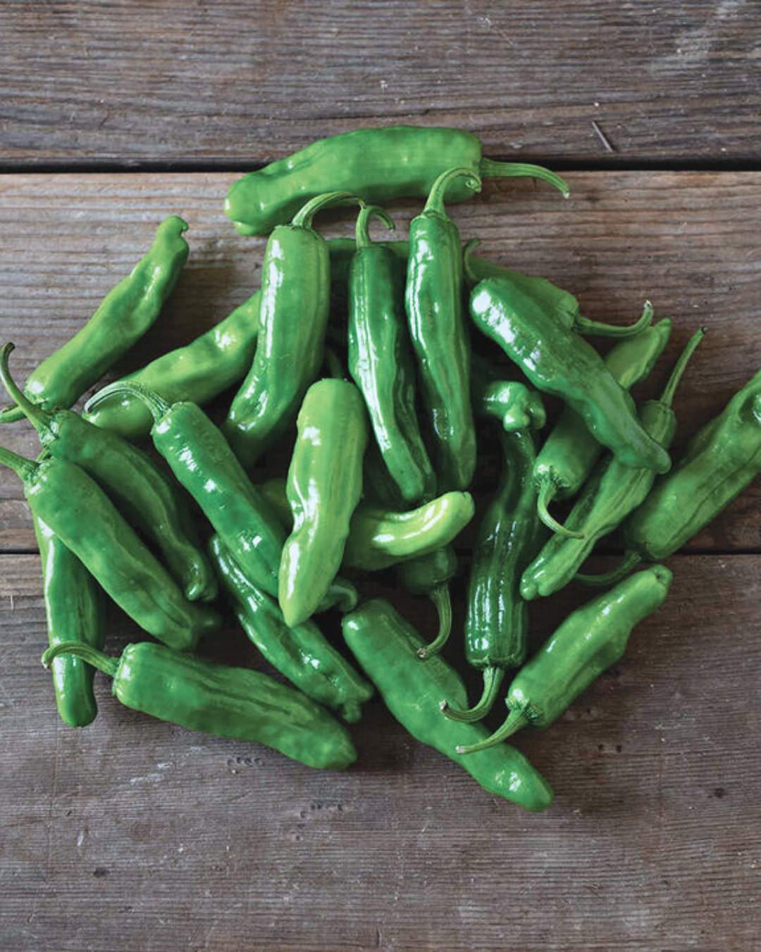 Pepper, Hot 'Paisan'
