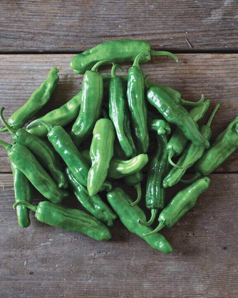 Pepper, Hot 'Paisan'