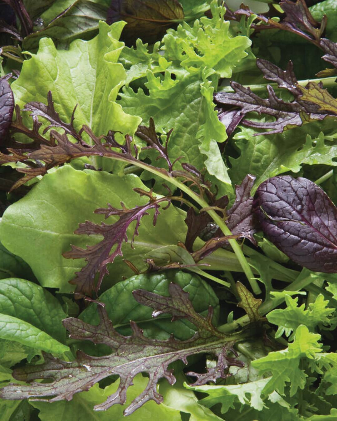 Greens 'Premium Greens Mix'