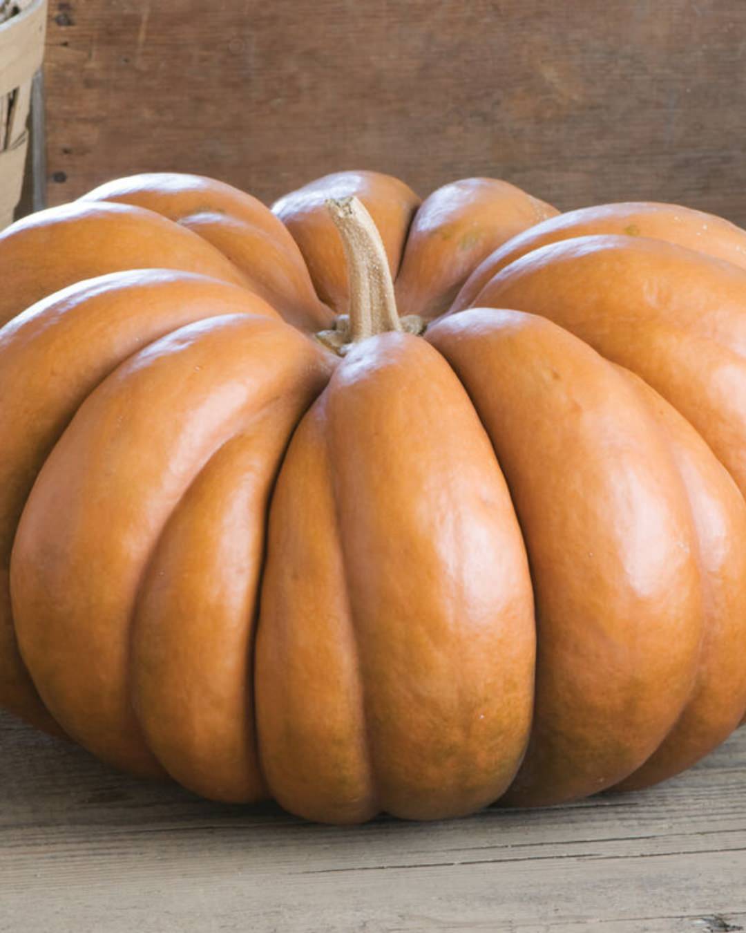 Pumpkin 'Musquee de Provence (Fairytale)'