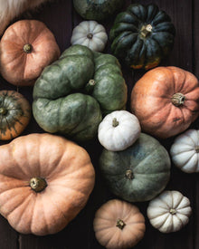 Pumpkin 'Triamble'