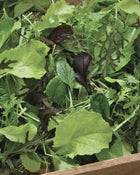 Greens 'Premium Greens Mix'