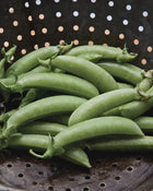 Pea 'Sugar Snap'