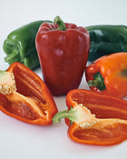 Pepper, Sweet 'Ace' (Red)