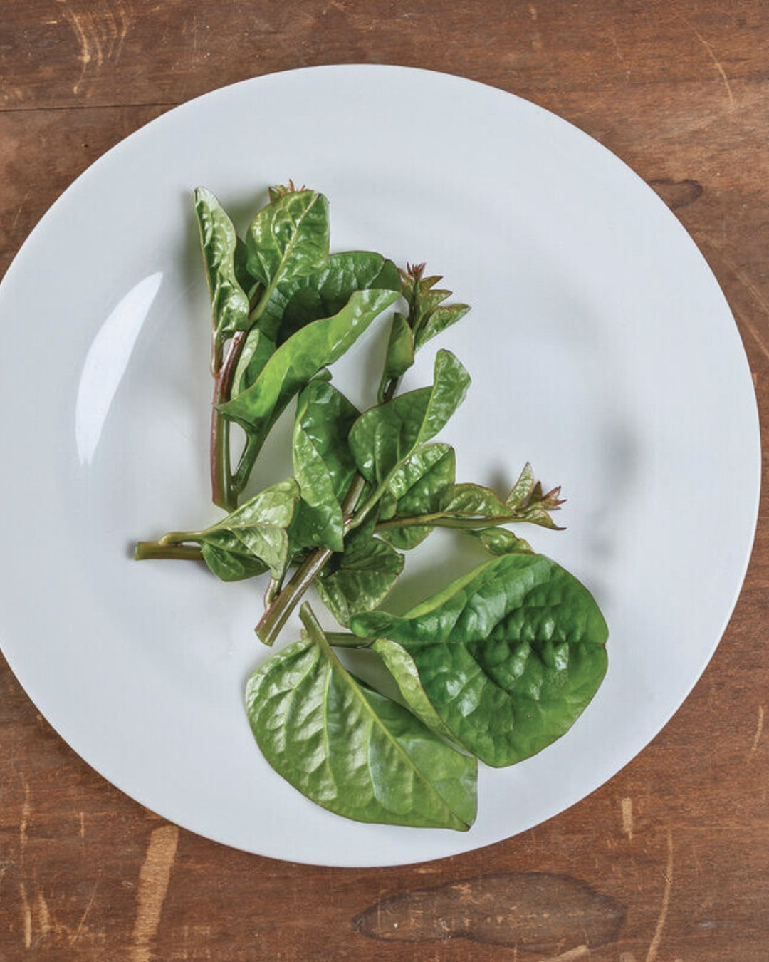 Greens, Red Malabar Spinach