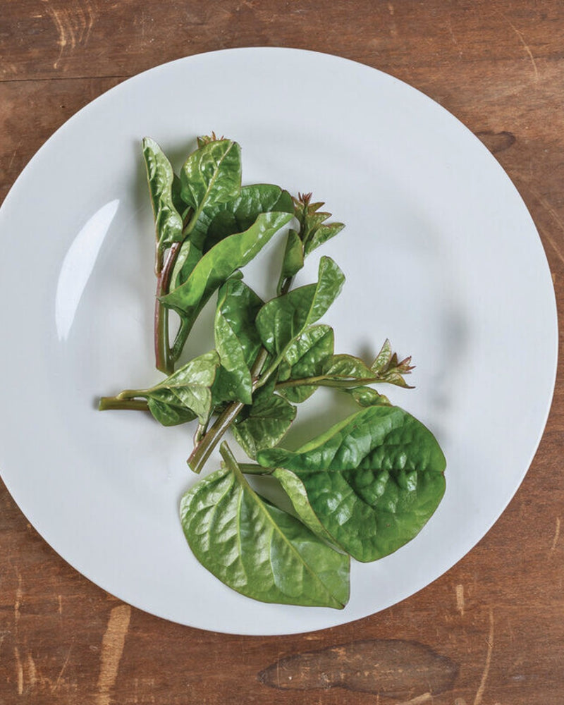 Greens, Red Malabar Spinach