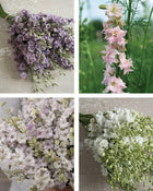 Larkspur Antique Patina Mix Seeds