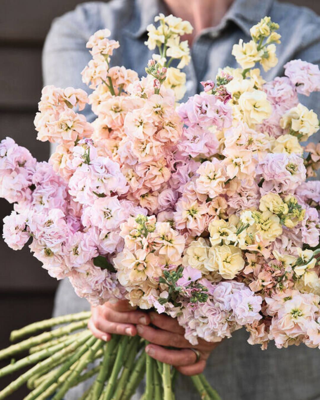 Stock 'Iron Paste Mixl'