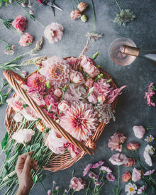 Lisianthus 'Corelli™ III Light Pink' Pelleted Seed