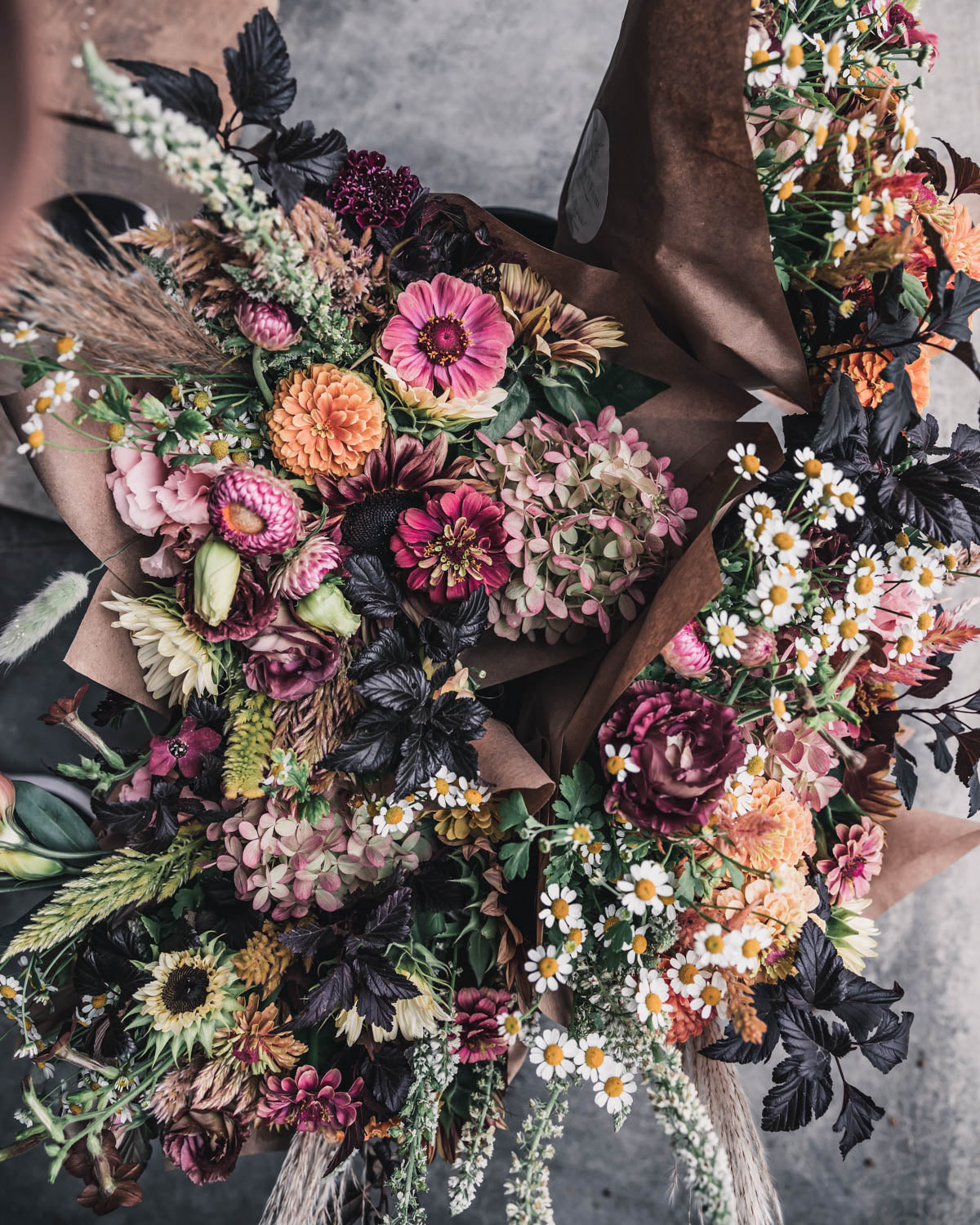 Feverfew 'Vegmo Single'
