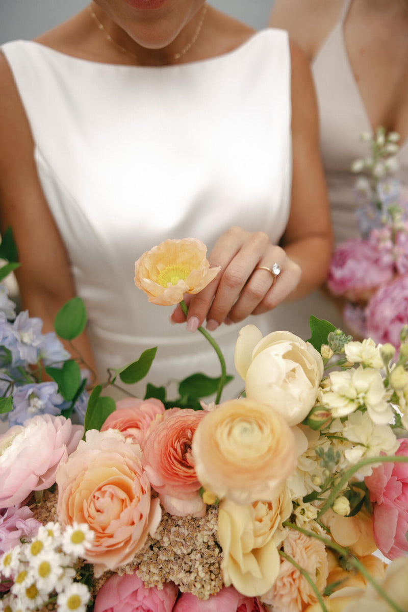 Icelandic Poppy, Italian Colibri ‘Pastel Mix'