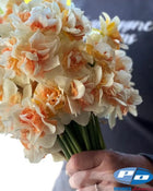 Narcissus 'Sweet Paradise'