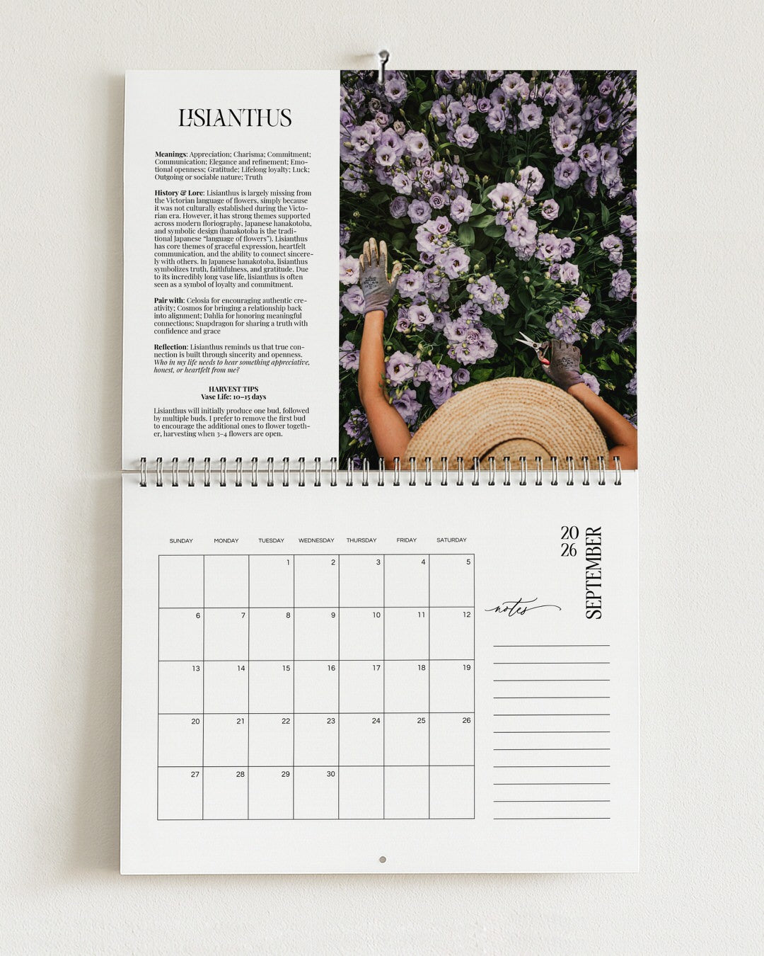 2026 PBF Photography Calendar: Botanical Alchemy (Worldwide Shipping Available)