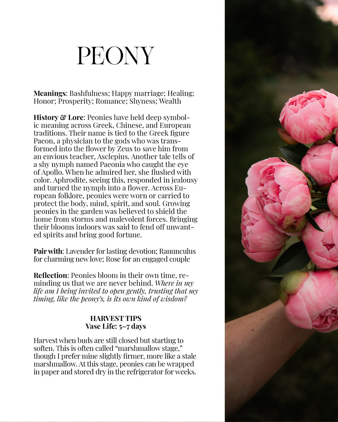 2026 PBF Photography Calendar: Botanical Alchemy (Worldwide Shipping Available)