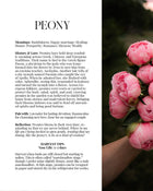 2026 PBF Photography Calendar: Botanical Alchemy (Worldwide Shipping Available)