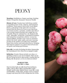 2026 PBF Photography Calendar: Botanical Alchemy (Worldwide Shipping Available)