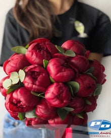 Peony 'Red Charm' (3-5 eye)