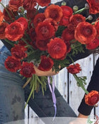 Ranunculus Italian Elegance Cioccolato®