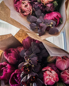 Fritillaria Persica