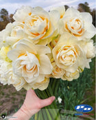 Narcissus 'Yosemite Valley'