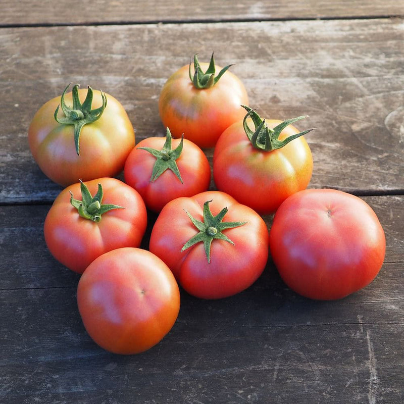 Tomato 'Montserrat'