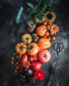 Tomato 'Brandywine (Quisenberry/Sudduth's Strain)'