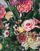 Zinnia 'Queeny Lime Red'