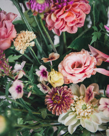 Zinnia 'Queeny Lime Red'