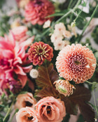 Zinnia 'Queeny Lime Red'