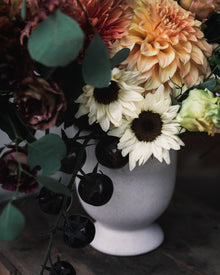 Sunflower 'ProCut® White Nite'