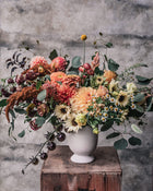 Eucalyptus 'Silver Plate'